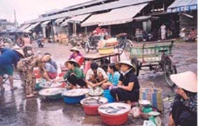 Fresh fish traders at Ho Chi Minh City fish market