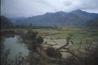 Rice-based ecosystems often represent a dynamic and closely linked complex of rice fields, ponds, irrigation canals, and rivers (Viet Nam)