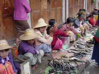 Fish sellers in Nyaung Schwe, Shan State, Myanmar.  Fish is the principle source of animal protein and still mostly obtained from inland fisheries