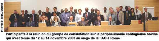 Participants  la runion du groupe de consultation sur la pripneumonie contagieuse bovine qui sest tenue du 12 au 14 novembre 2003 au sige de la FAO  Rome