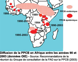 Diffusion de la PPCB en Afrique entre les annes 90 et 2003 (donnes OIE)