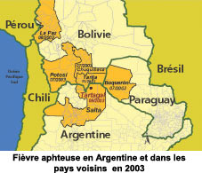 Fivre aphteuse en Argentine et dans les pays voisins  en 2003
