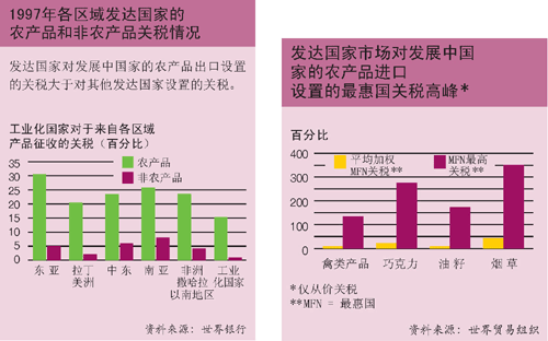 关于本报告