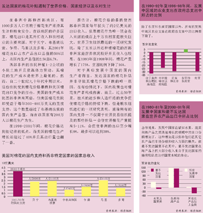 关于本报告