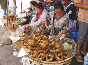 Local cooked poultry market, Lao People's Democratic Republic