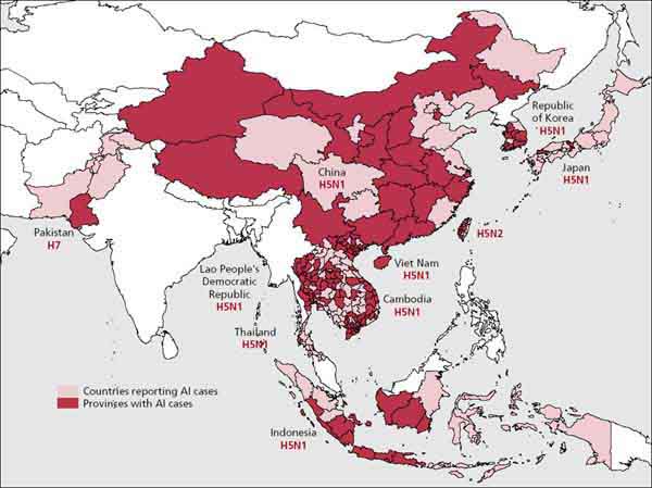 Avian influenza situation, December 2003-June 2004