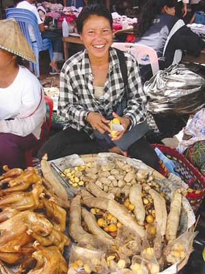 Poultry market, Lao People’s Democratic Republic