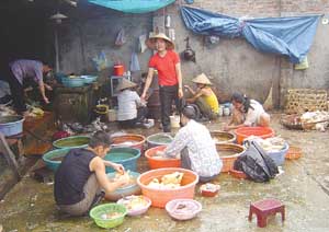 Slaughter in a market, Hanoi, Viet Nam
