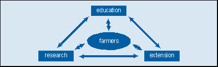 Communication for Development Roundtable Report