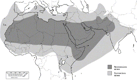 Undisplayed Graphic