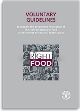 Right to Food Guidelines