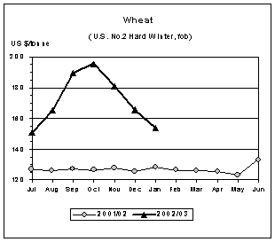 food outlook