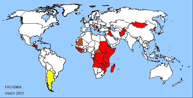 World Map