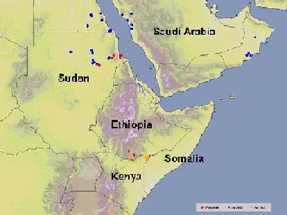 11 December. Significant infestations in E. Africa, new reports from Arabia