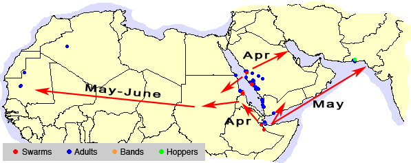 10 mai. Opérations de lutte en cours en Arabie Saoudite, Éthiopie, Soudan et Inde