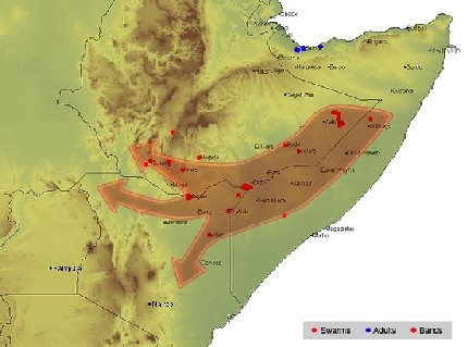 3 janvier. Des essaims continuent à se former en Éthiopie et envahissent le Kenya