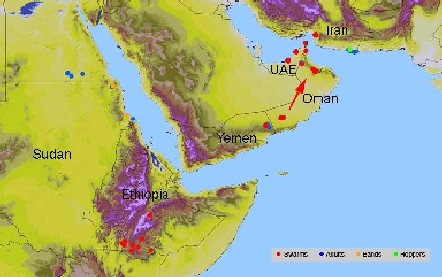 25 February. Locust swarms in Oman, UAE, Iran and Ethiopia