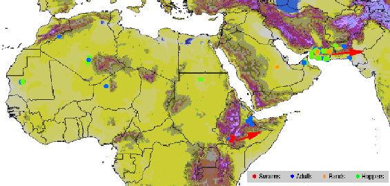 5 May. Hoppers bands in Iran could form swarms