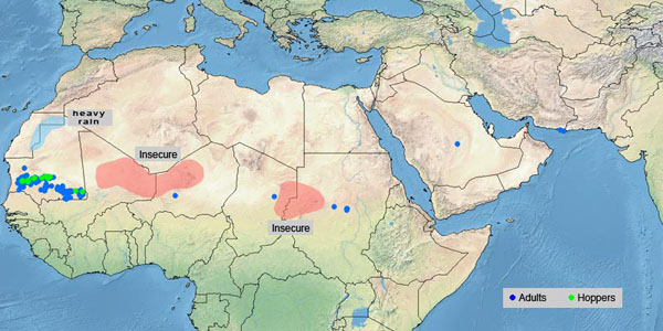 2 octobre. Brusque passage du niveau d’alerte en PRUDENCE après des pluies exceptionnellement bonnes en Afrique du Nord-Ouest
