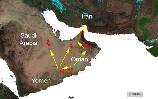 3 mars. Déplacement d’essaims de Criquet pèlerin d’Oman vers l’Iran à travers le Yémen, l’Arabie Saoudite et les Émirats arabes unis