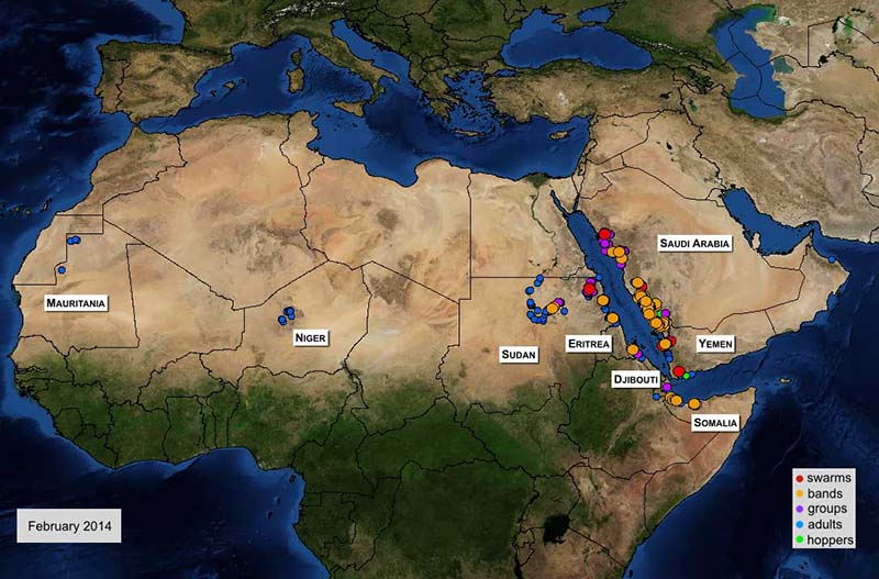3 mars. Persistance de résurgences le long de la mer Rouge et dans la Corne de l’Afrique