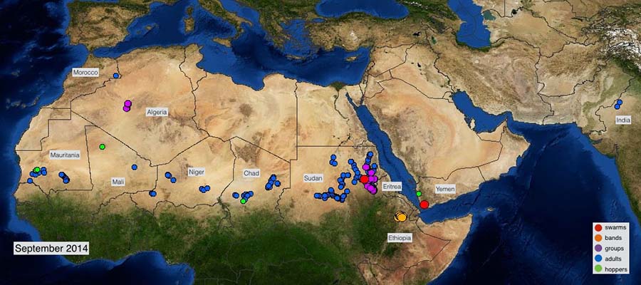 2 octobre. Risque potentiel de détérioration de la situation dans le nord du Sahel