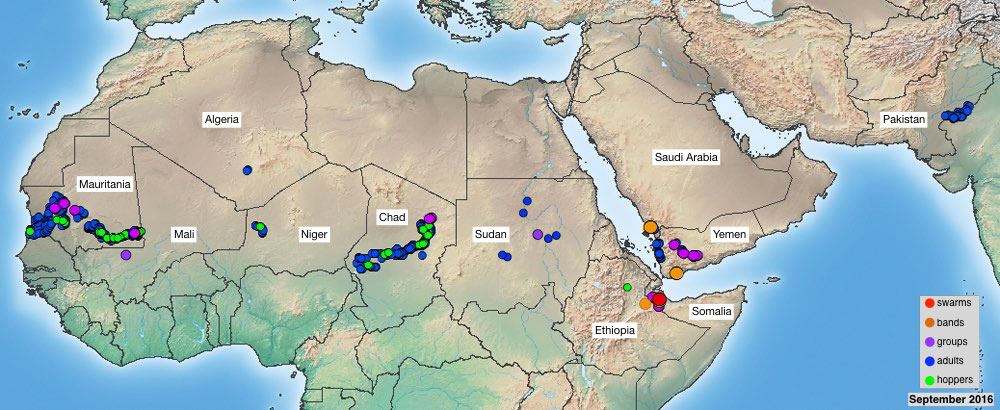 3 octobre. Situation toujours préoccupante au Yémen; probable résurgence en Mauritanie