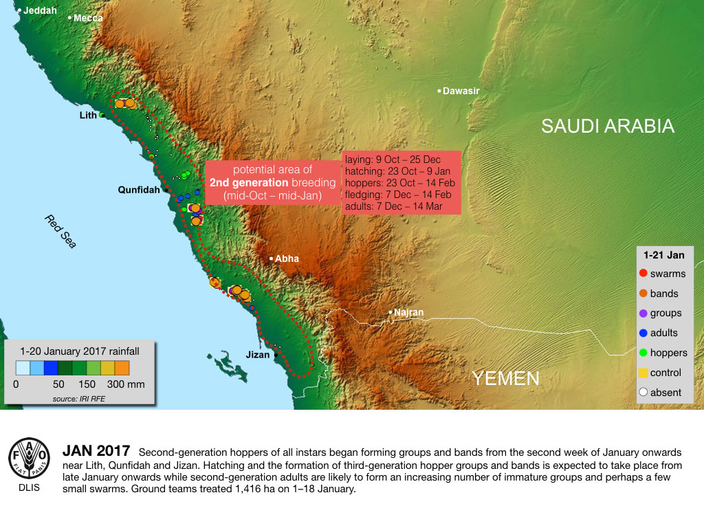 25 January. Desert Locust outbreak in Saudi Arabia