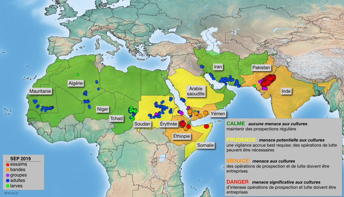 28 octobre. Poursuite du niveau « menace » en Asie du sud-ouest et dans la Corne de l’Afrique