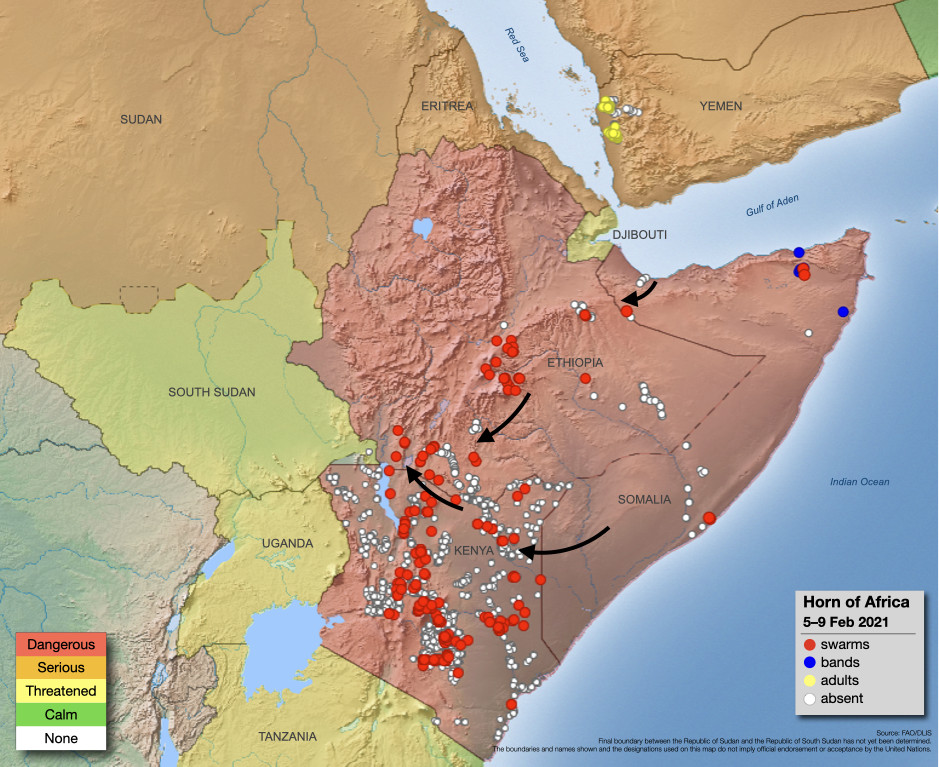 9 February. Swarms persist in Kenya and Ethiopia