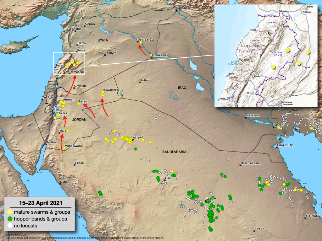23 April.Desert Locusts spread in Jordan and Syria, appearing in Lebanon