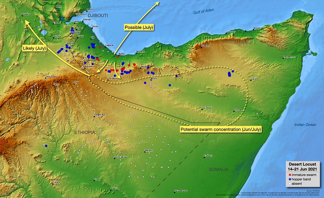 21 June 2021. New swarms forming in Somalia