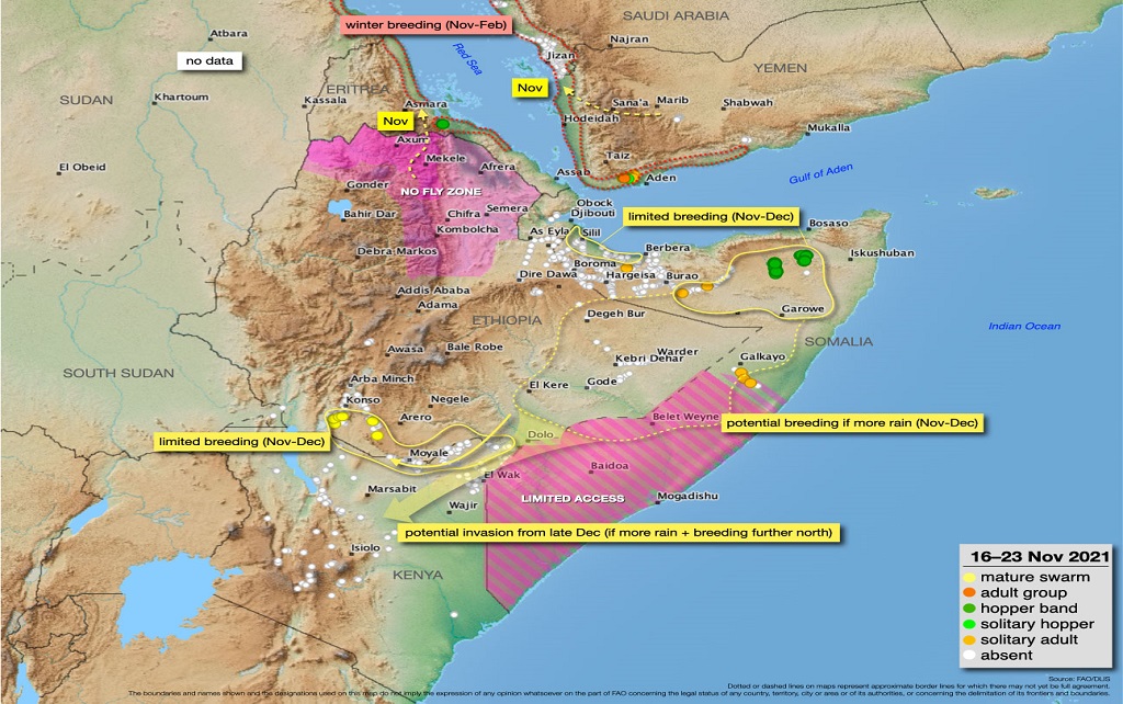 24 November 2021. A few swarms in Southern Ethiopia