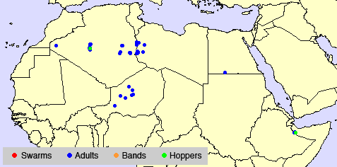3 juillet. Une reproduction localisée et des opérations de lutte en Algérie et en Libye
