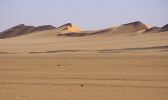 dunes01.jpg (27 K)