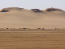 dunes02.jpg (38 K)