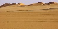 dunes03.jpg (28 K)