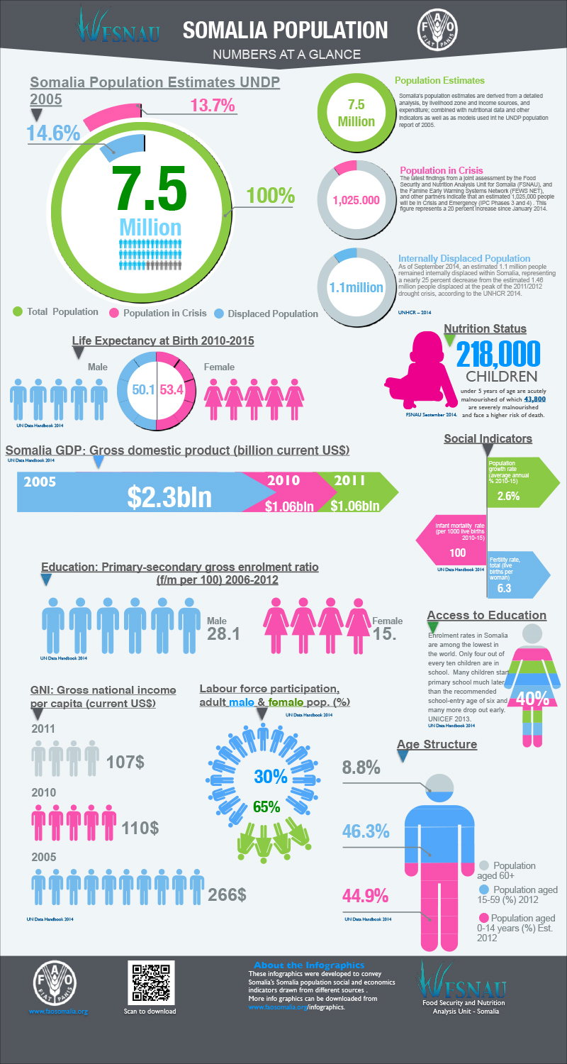Somalia population and crisis: numbers at a glance (October 2014)
