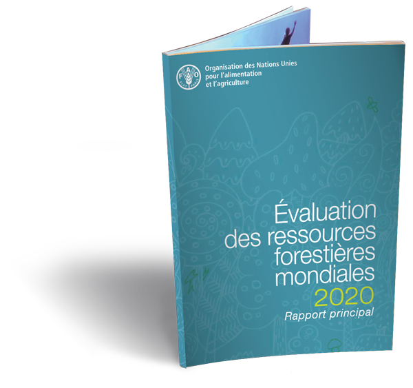 Download FRA2020