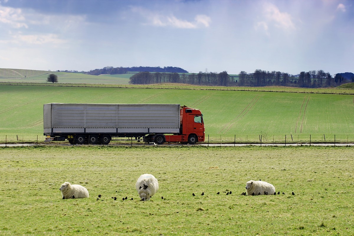 diversity Transport network