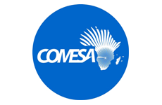 Common market for Eastern and Southern Africa (COMESA)