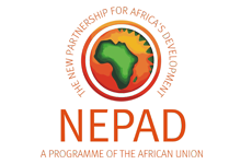New Partnership for Africa's Development (NEPAD)