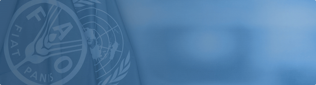 home | Empleo en la FAO | Organización de las Naciones Unidas para la  Alimentación y la Agricultura