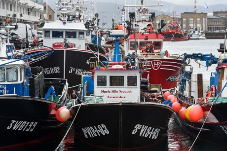 Ce n'est plus comme d'habitude dans le plus grand port de pêche d'Europe |  Articles de la FAO | Organisation des Nations Unies pour l'alimentation et  l'agriculture
