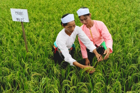 农民提升自我能力引领农业发展 | 可持续的粮食与农业 | 联合国粮食及 