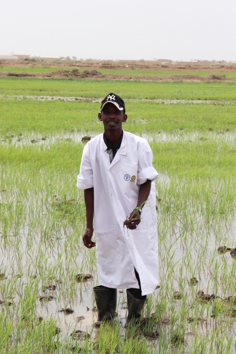 الشباب في موريتانيا يكشفون عن الإمكانات التي تتيحها أراضيهم | قصص المنظمة |  منظمة الأغذية والزراعة للأمم المتحدة