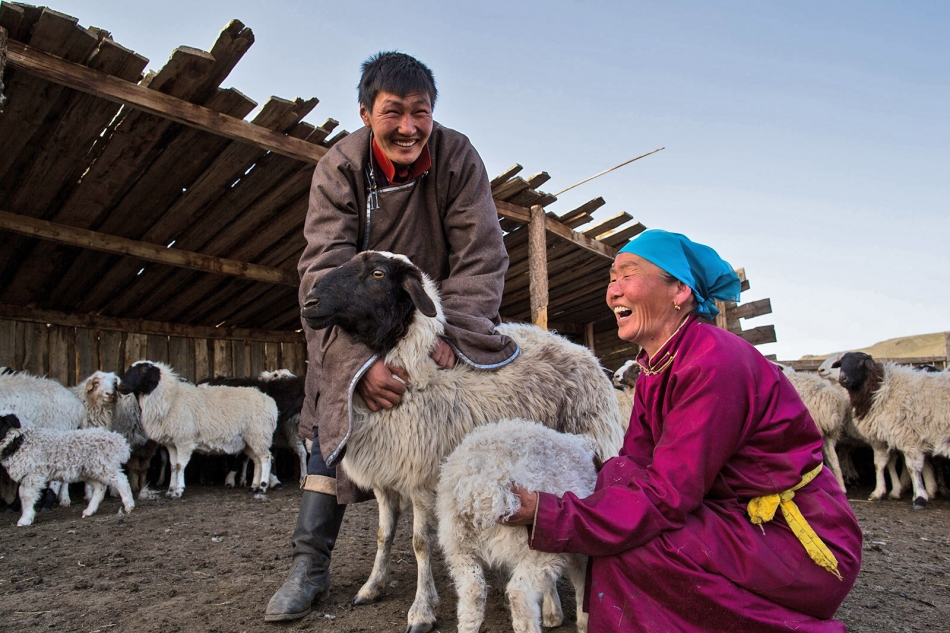 التحرك مبكرا لإنقاذ مصادر الرزق في منغوليا | قصص المنظمة | منظمة الأغذية  والزراعة للأمم المتحدة