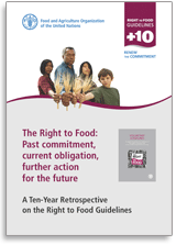 Right to Food Synthesis report