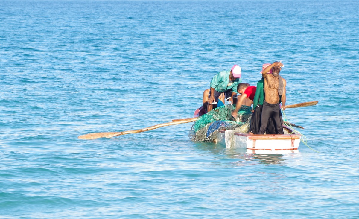 Fishing in the Dominican Republic decreased by 50 over two decades