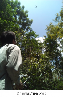 Lao PDR strides towards transparency in forest monitoring | Boosting  transparency of forest data | Продовольственная и сельскохозяйственная  организация Объединенных Наций